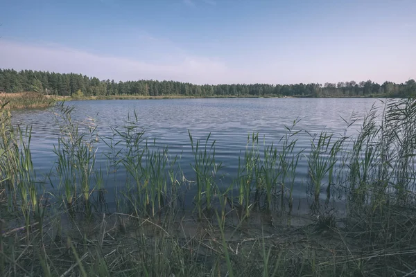 Vacker Skog Natur Återspeglas Klart Vatten Sjö Eller Flod Hösten — Stockfoto