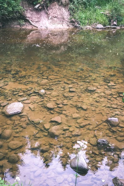 Rocky Proud Řeky Hluboko Lese Zelené Letní Počasí Pískovcovými Útesy — Stock fotografie