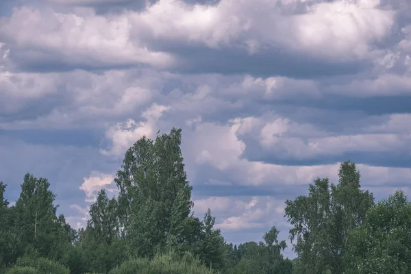 Dramatische Wolken Boven Groene Bomen Zomer — Stockfoto