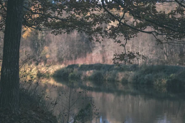 Réflexions Nature Dans Eau Claire Dans Lac Rivière Campagne Couleurs — Photo