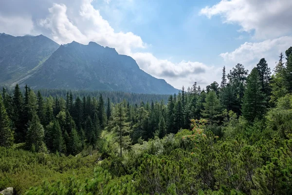 Zachodnich Karpat Turystycznych Szlaków Tatry Słowacja — Zdjęcie stockowe