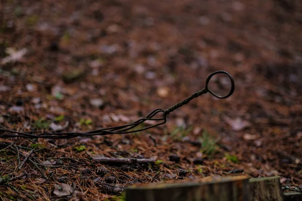 Rusty Metallic Wire Autumnal Forest Ground — Stock Photo, Image