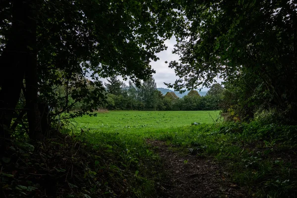 Vacker Utsikt Över Äng Bergen Slovakien — Stockfoto