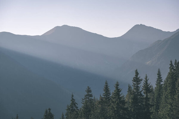 beautiful misty sunrise in Slovakian Tatra mountains with light lanes in fog over dark forest