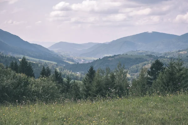 Bellissimo Skyline Carpatico Occidentale Tatra Montagna Con Campi Verdi Foreste — Foto Stock