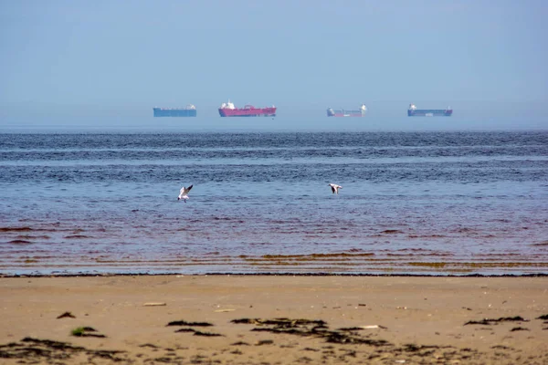 Praia Mar Vazia Primavera Com Alguns Pássaros Navios Carga Horizonte — Fotografia de Stock