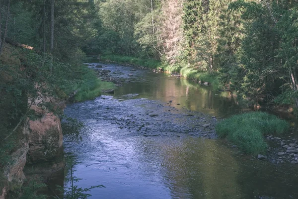 Krásný Skalnatý Potok Lese Létě Amata Řeka Lotyšsku Poblíž Cesis — Stock fotografie
