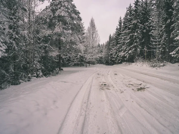 Drone Görüntü Kırsal Alan Alanları Ormanları Karlı Kış Hava Görünümünü — Stok fotoğraf