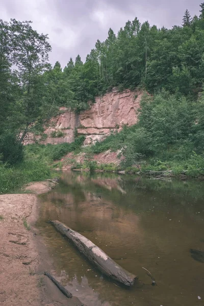 Скалистый Поток Реки Глубоко Лесу Летом Река Амата Латвии Возле — стоковое фото