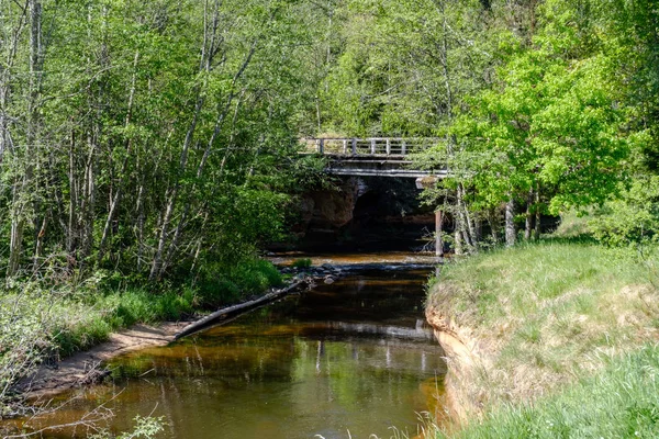 Alte Holzbrücke Schönen Sommerwald — Stockfoto