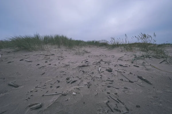 Суха Трава Бухти Піску Пляжі Холодний Осінній Вечір Біля Балтійського — стокове фото
