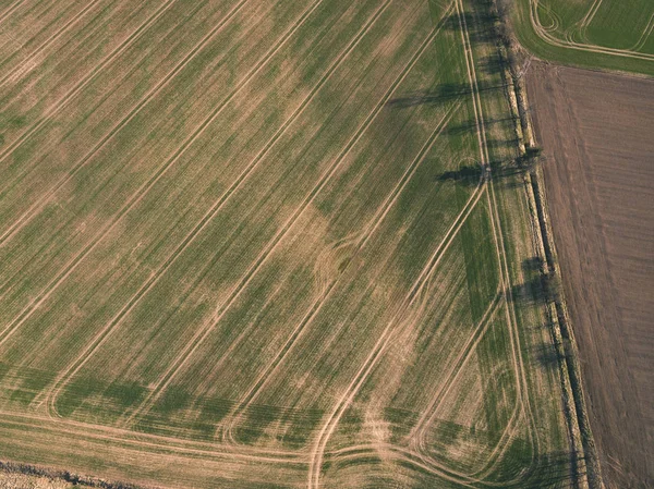 Drone Kép Légi Felvétel Vidék Mezők Erdők Víz Gondolatokkal Folyó — Stock Fotó