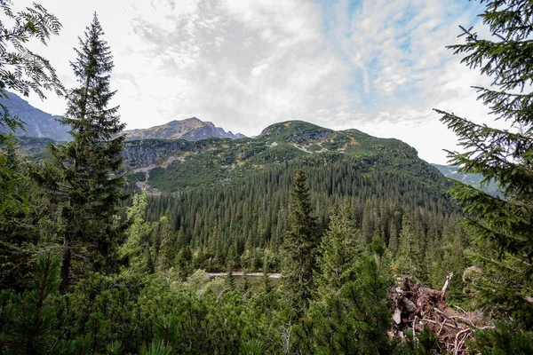 Ciel Nuageux Brumeux Slovaque Carpates Occidentales Tatra Mountain Skyline Couvert — Photo