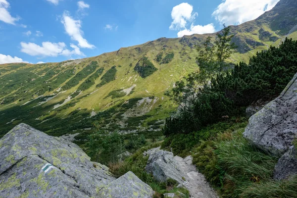 Montagnes Des Carpates Occidentales Avec Sentiers Randonnée Touristique Tatra Slovaquie — Photo