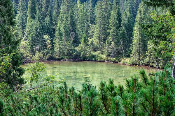 Красиві Дзеркало Озера Горах Татри Словаччина — стокове фото