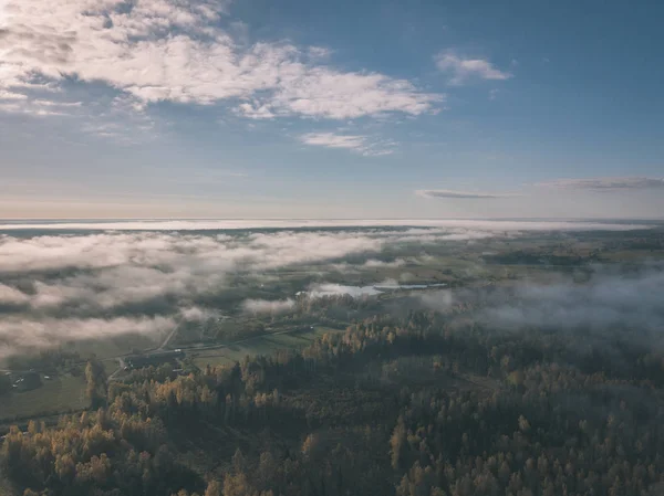 Drone Image Aerial View Rural Area Fields Forests Covered Autumn — Stock Photo, Image