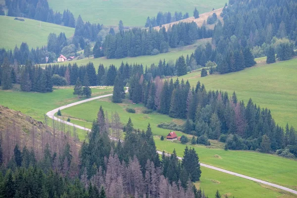 スロバキアの山々 に至るまで緑の草原の国砂利道 — ストック写真