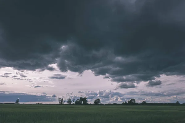夏の緑の草原といくつかの木を雨嵐雲を対照的です 雨の前に青空ヴィンテージの古い映画に見える — ストック写真
