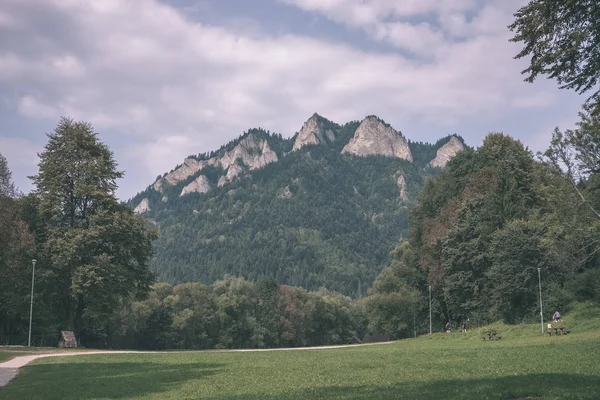 western carpathian Tatra mountain skyline with green fields and forests in foreground. summer in Slovakian hiking trails - vintage old film look