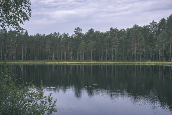 Schöne Waldnatur Die Sich Klaren Wasser Des Sees Oder Flusses — Stockfoto