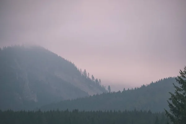 Красиві Західних Карпатських Tatra Гірський Skyline Зелені Поля Ліси Переднього — стокове фото