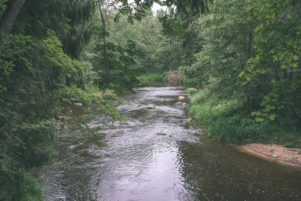 Скалистый Поток Реки Глубоко Лесу Летом Река Амата Латвии Возле — стоковое фото