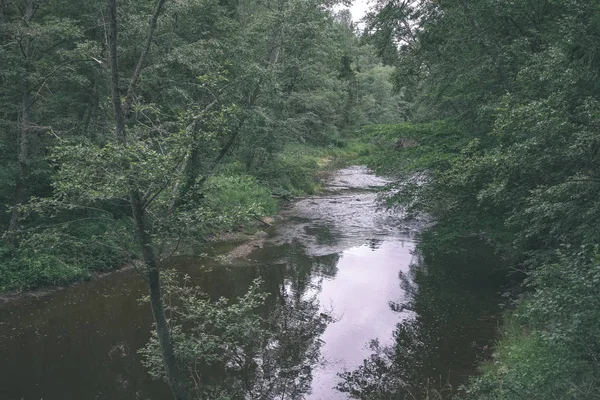 Ruisseau Rocheux Rivière Profondément Dans Forêt Été Rivière Amata Lettonie — Photo