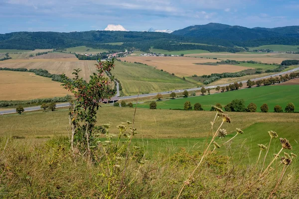 スロバキアの山々 に至るまで緑の草原の国砂利道 — ストック写真