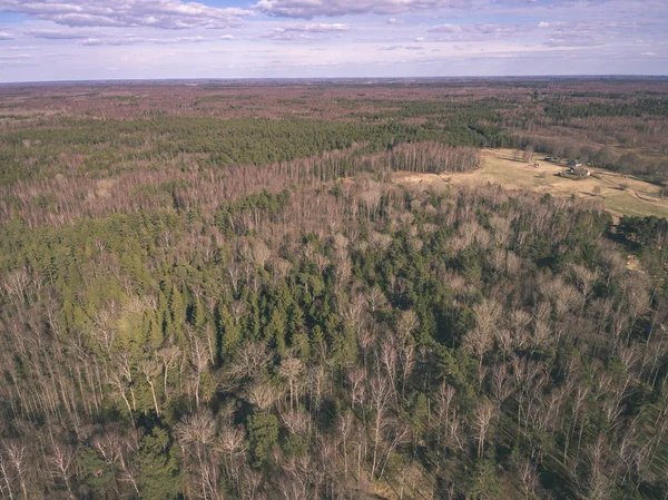 drone image. aerial view of rural area with rocky beach of Baltic sea. far horizon in calm day - vintage old film look