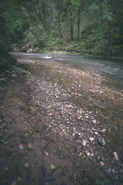 Rivière Montagne Rocheuse Longue Exposition Été Avec Niveau Eau Élevé — Photo