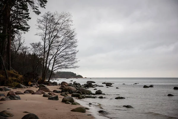 Kayalık Sahil Şeridine Letonya Akış Deniz Geç Sonbaharda Büyük Kayalar — Stok fotoğraf