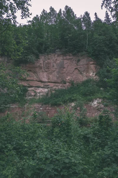 Ruisseau Rocheux Rivière Profondément Dans Forêt Été Rivière Amata Lettonie — Photo