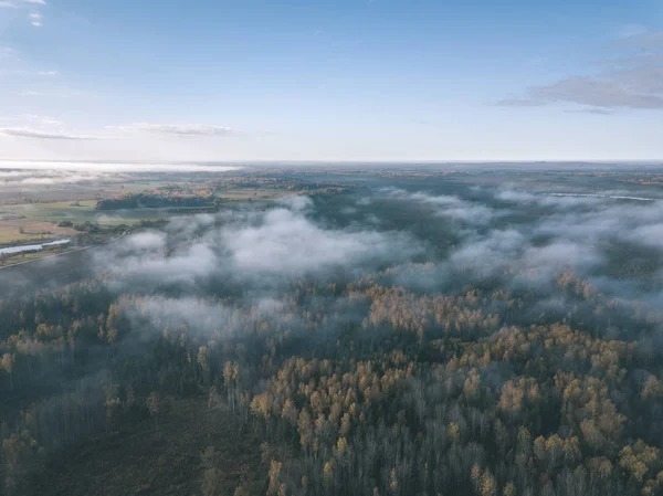 Drone Obrazu Widok Lotu Ptaka Obszarów Wiejskich Pola Lasy Objęte — Zdjęcie stockowe