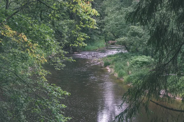 Skalista Stream Rzeka Głęboko Las Lecie Amata Rzeka Łotwie Pobliżu — Zdjęcie stockowe