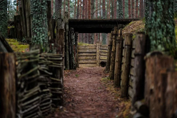 old wooden trenshes in forest in Latvia, Lozmetejkalns