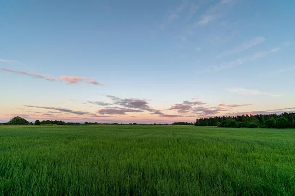 Storm Clouds Forming Countryside Fields — Stock Photo, Image