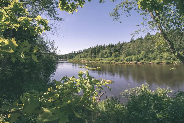 Ruhiger Fluss Mit Reflexionen Von Bäumen Wasser Leuchtend Grünem Laub — Stockfoto