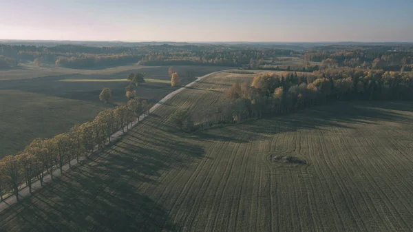 Drone Obrazu Widok Lotu Ptaka Obszarów Wiejskich Pól Lasów Pochmurny — Zdjęcie stockowe