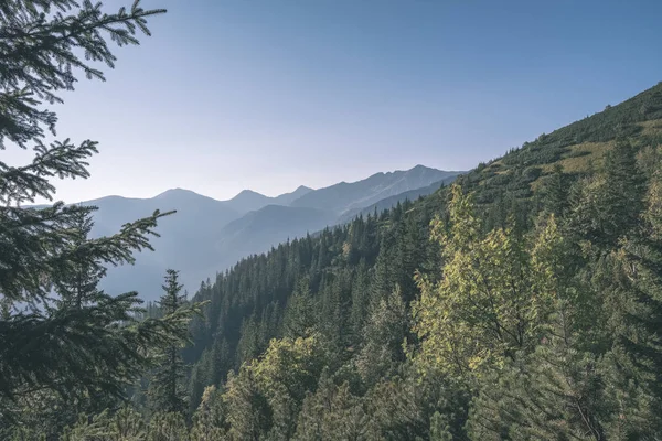 Wunderschöner Nebliger Sonnenaufgang Der Slowakischen Tatra Mit Hellen Gassen Nebel — Stockfoto