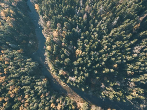 Imagem Drone Vista Aérea Rio Ondulado Outono Floresta Colorida Latvia — Fotografia de Stock