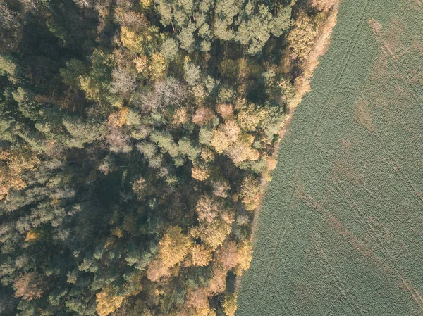 Imagem Drone Vista Aérea Área Rural Com Campos Florestas Dia — Fotografia de Stock