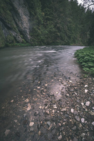 long exposure rocky mountain river in summer with high water stream level in forest with trees and sandy foreground shore - vintage old film look