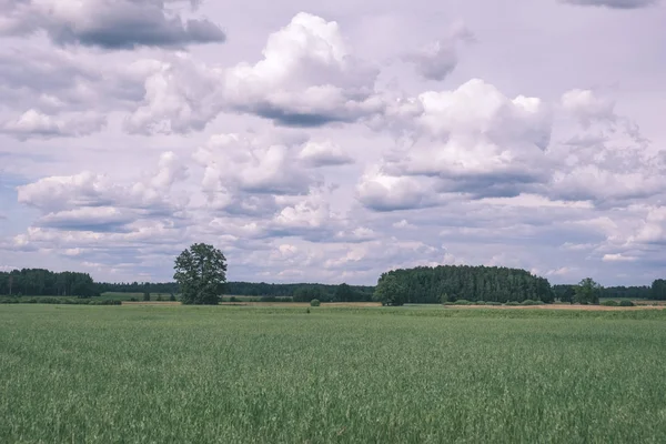 Chmury Burzowe Nad Zielony Łąka Niektóre Drzewa Lecie — Zdjęcie stockowe
