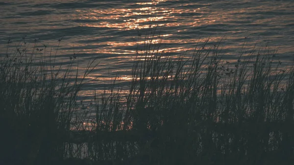 Κόκκινο Κορεσμένα Χρώματα Του Ηλιοβασιλέματος Πέρα Από Βαλτική Θάλασσα Ήρεμα — Φωτογραφία Αρχείου