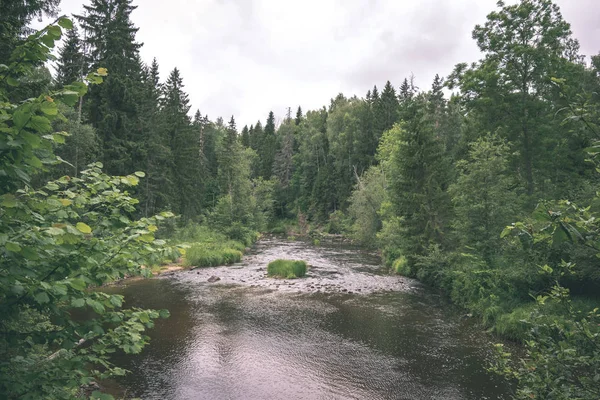 Красиві Скелясті Потоку Лісі Літо Amata Річка Латвії Поблизу Цесіс — стокове фото