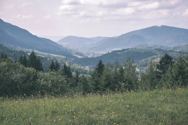 Krásné Západní Karpaty Tatra Horské Panorama Zelenými Poli Lesy Popředí — Stock fotografie