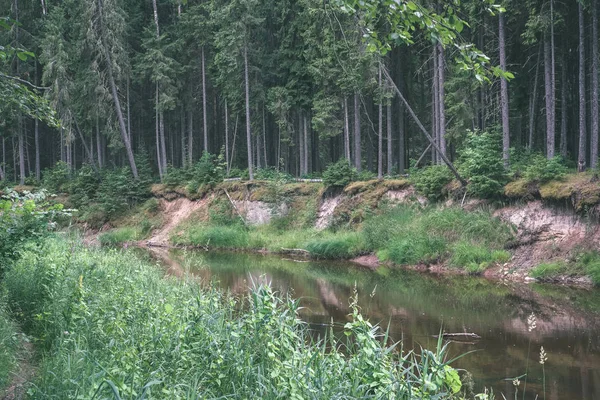 Yaz Aylarında Nehir Derin Orman Kayalık Akış Letonya Cesis Yakınındaki — Stok fotoğraf