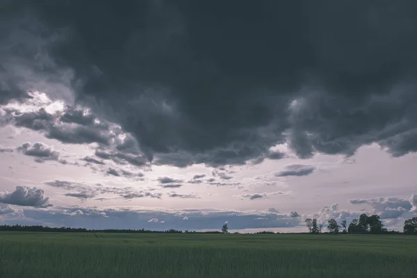 Molnen Över Gröna Ängen Och Några Träd Sommar — Stockfoto