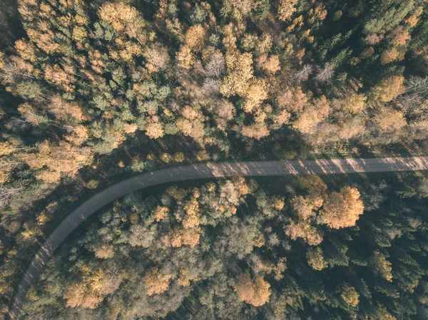 Drone Görüntü Çakıl Yol Sonbahar Renkli Alanları Ormanları Ile Kırsal — Stok fotoğraf