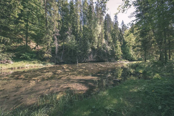 平静的河流与树木的倒影附近的塞西斯 拉脱维亚 高亚河 — 图库照片